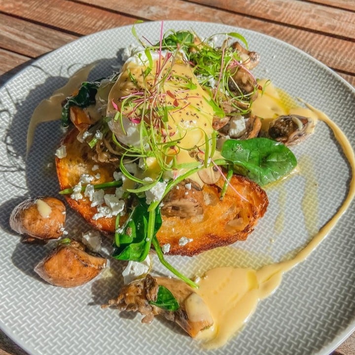Exploring the picturesque Rottnest Island? Starting to feel peckish? Looking to show your support for a cafe getting behind the Aussie farmers putting hen welfare first? 👇

@geordiescafe_rottnest source 100% cage-free eggs for their cafe menu. We're loving the look of this wild mushroom bruschetta with a poached cage-free egg 💕

Keep up the good work team!

#rscpa #rspcaaustralia #rspcachoosewisely #eggs #cagefree #cagefreeeggs #rottnestisland #westernaustralia #wa #australia #animalwelfare #happyhens #hens #chickens #farmanimals #foodie #foddies #consciousconsumer #foodiesofig #foodiesofinstagram #breakfast #lunch #brunch #cafe #restaurant #bruschetta #mushroom #mushrooms #poachedegg #poachedeggs